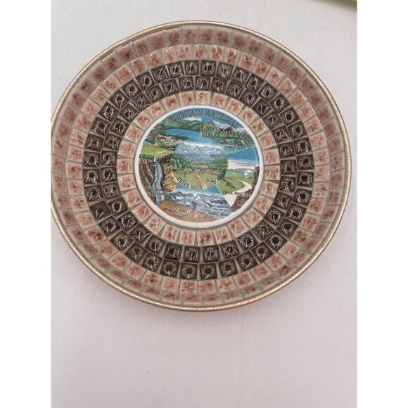 Vintage Rocky Mountain National Park Souvenir Plate Scenic Design Textured Gold - Picture 10 of 10